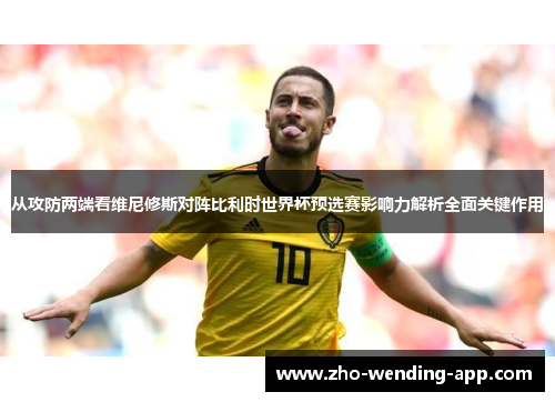 从攻防两端看维尼修斯对阵比利时世界杯预选赛影响力解析全面关键作用
